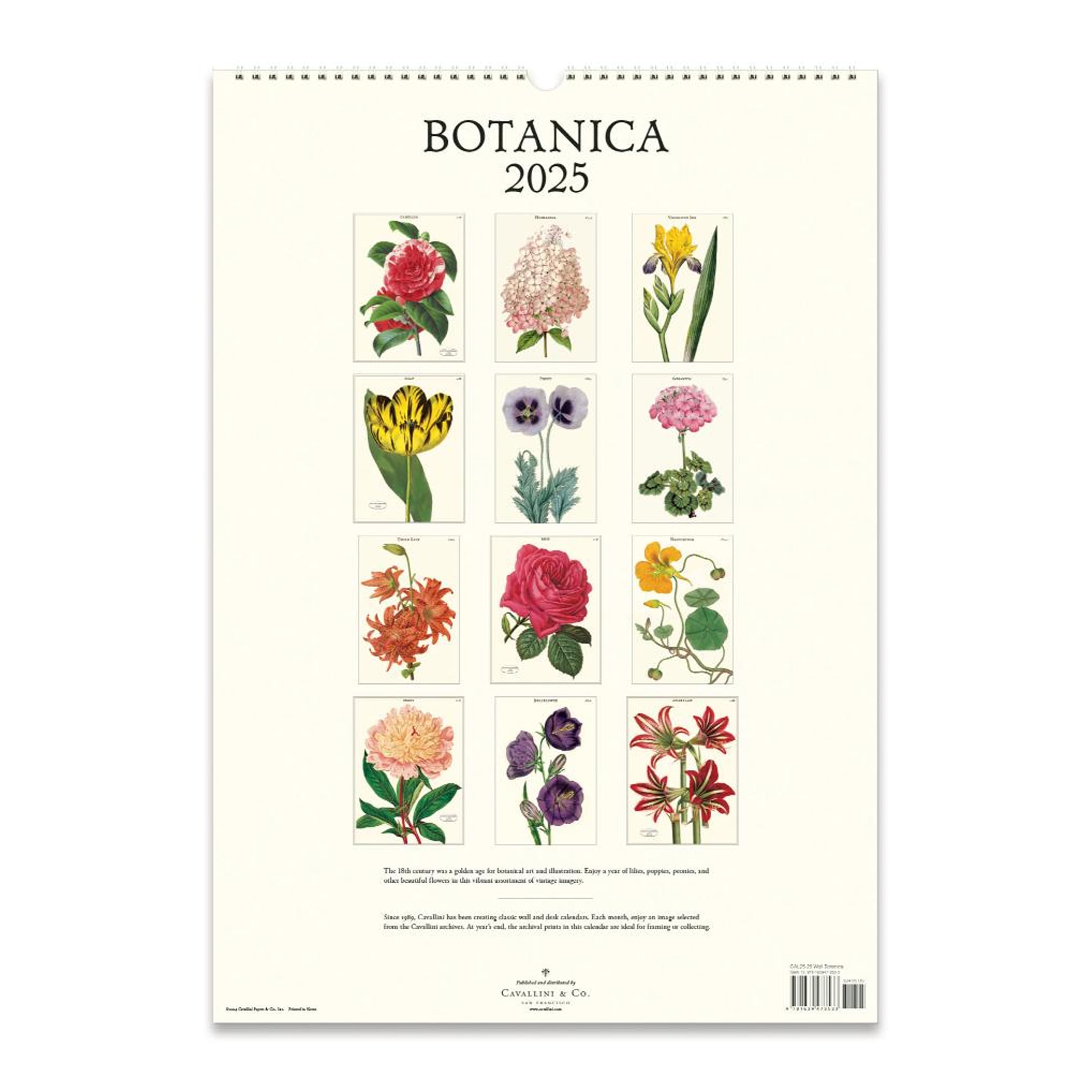 2025 Wall Calendar | Botanica | Cavallini & Co.