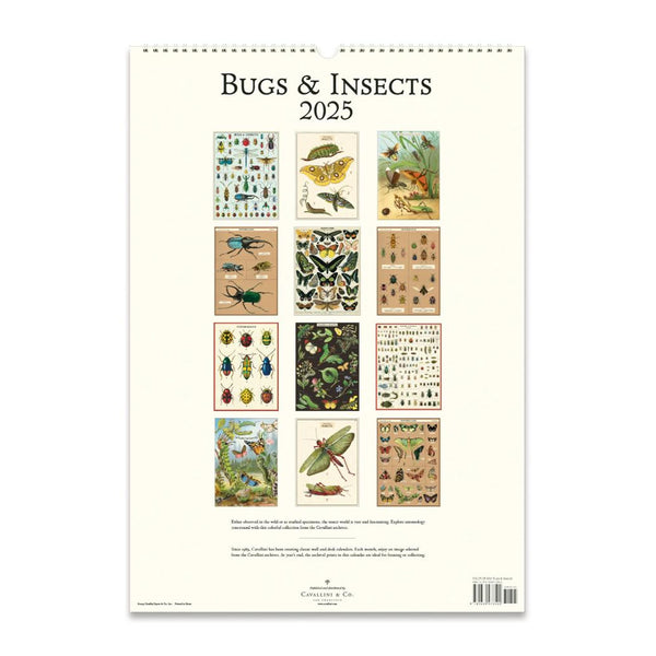 2025 Wall Calendar | Bug & Insects | Cavallini & Co.