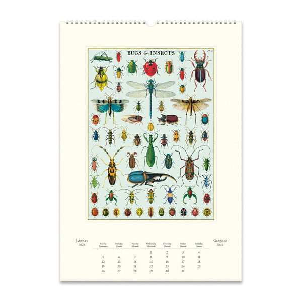 2025 Wall Calendar | Bug & Insects | Cavallini & Co.