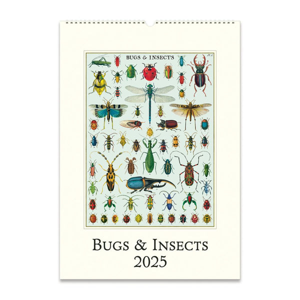 2025 Wall Calendar | Bug & Insects | Cavallini & Co.