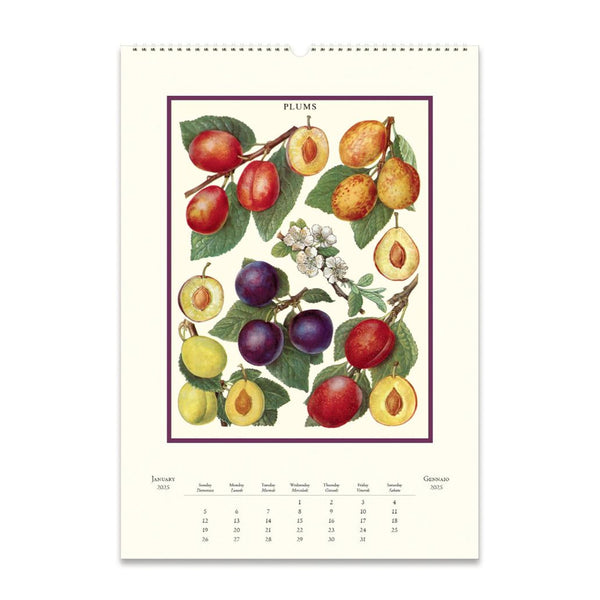 2025 Wall Calendar | Farmer's Market | Cavallini & Co.