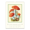 2025 Wall Calendar | Champignons | Cavallini & Co.