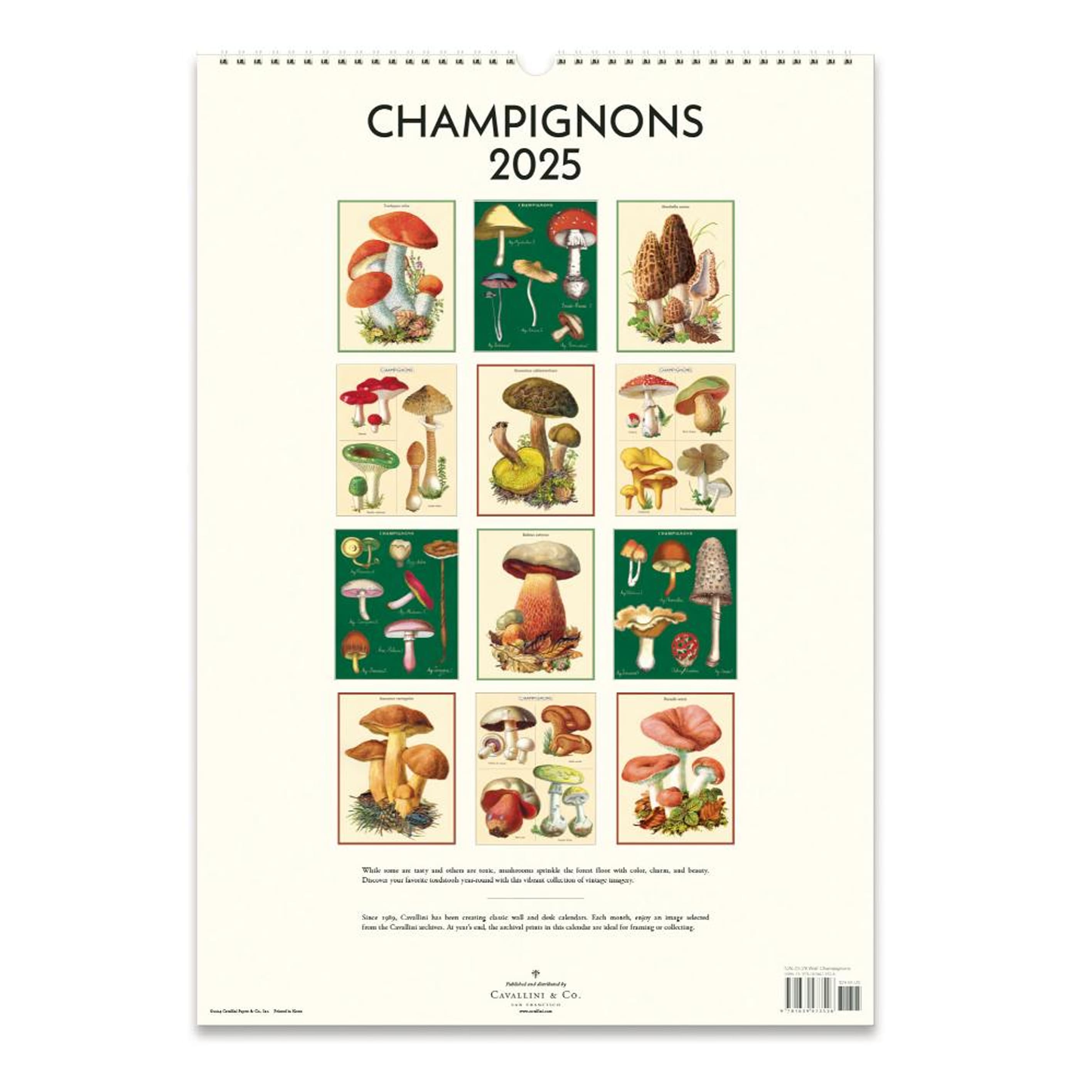 2025 Wall Calendar | Champignons | Cavallini & Co.