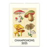 2025 Wall Calendar | Champignons | Cavallini & Co.