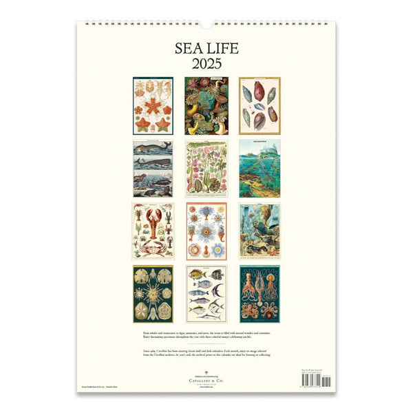 2025 Wall Calendar | Sea Life | Cavallini & Co.