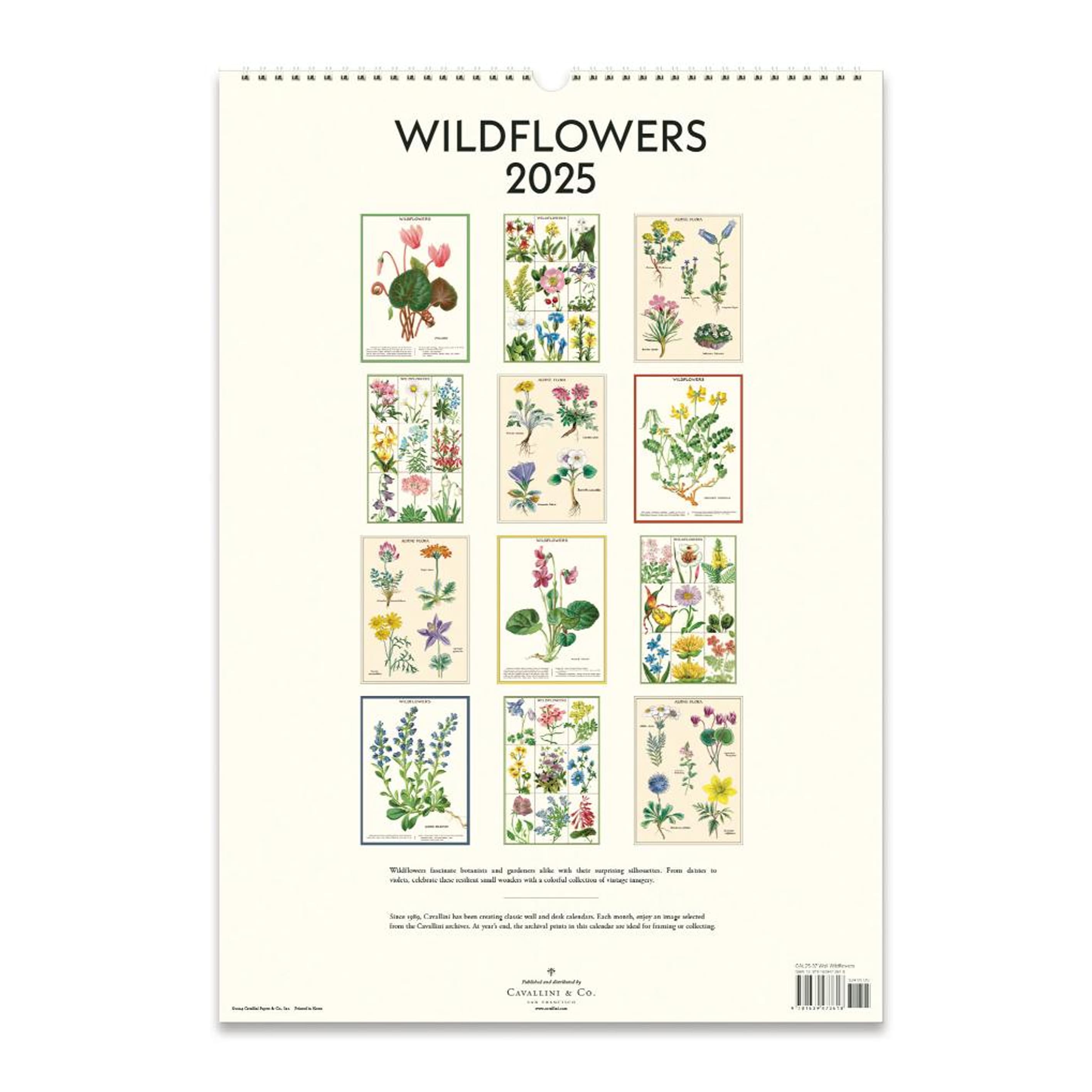 2025 Wall Calendar | Wildflowers | Cavallini & Co.