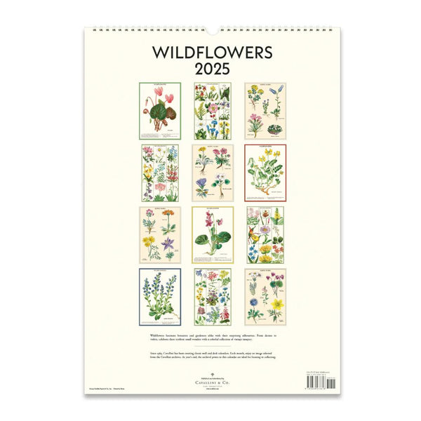 2025 Wall Calendar | Wildflowers | Cavallini & Co.