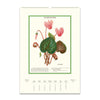 2025 Wall Calendar | Wildflowers | Cavallini & Co.