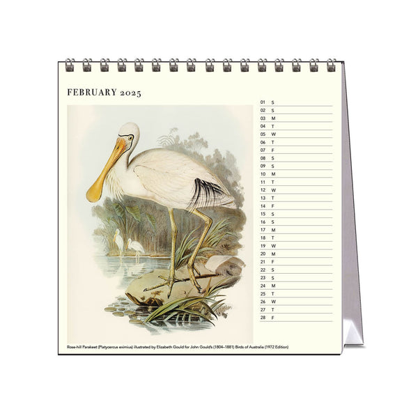 2025 Desk Calendar | Australian Birds | Hello Sunday