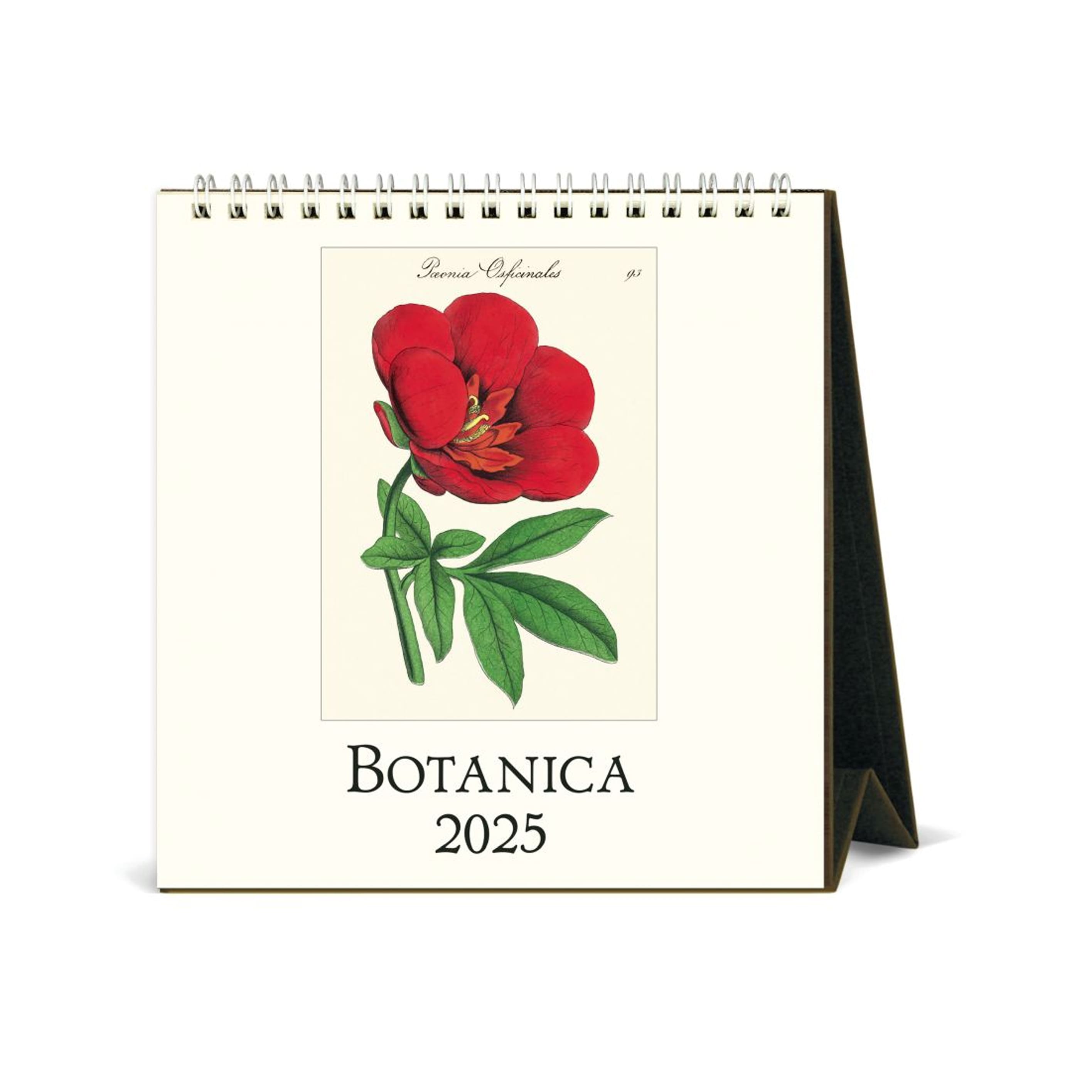 2025 Desk Calendar | Botanica | Cavallini & Co.