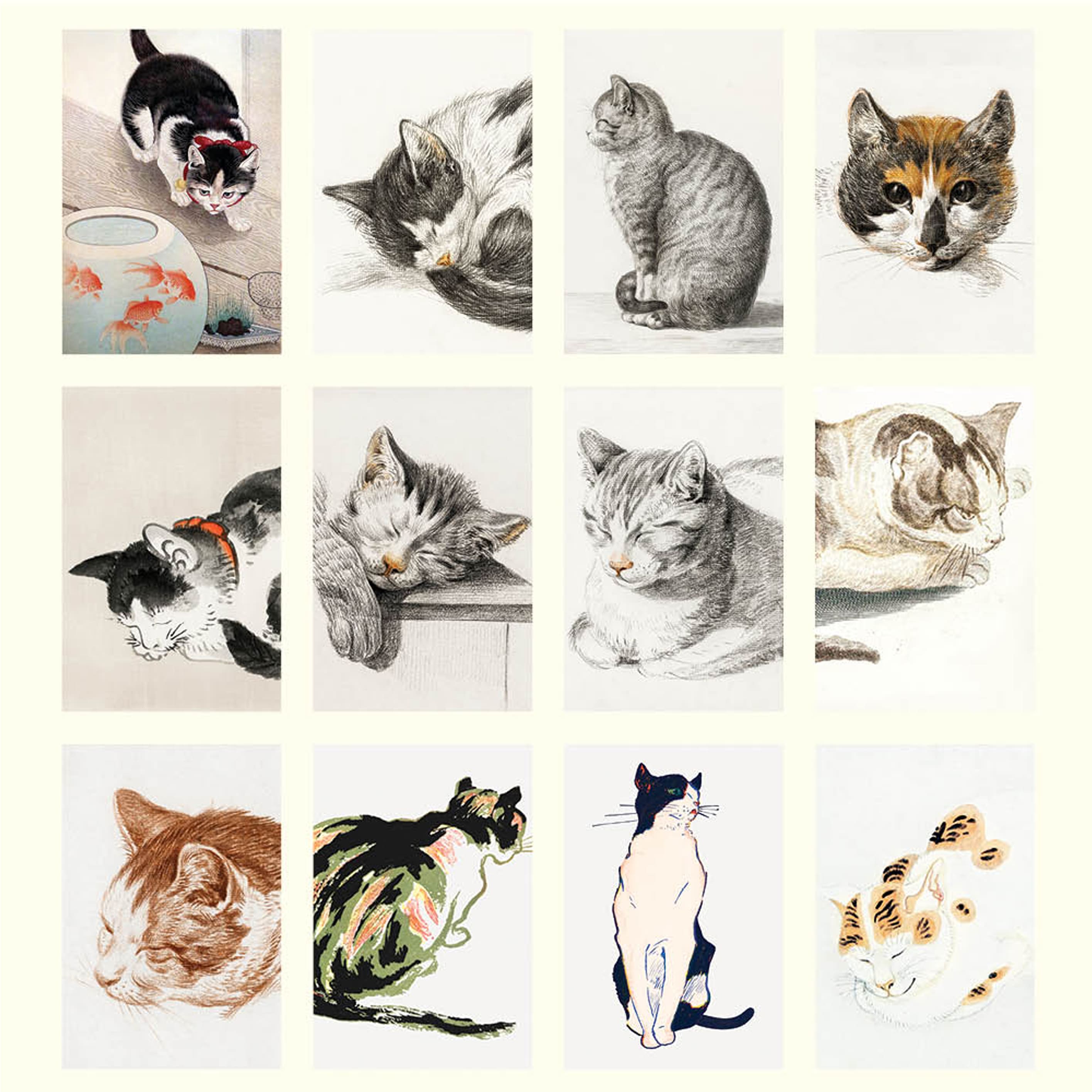 2025 Desk Calendar | Cat Drawings | Hello Sunday