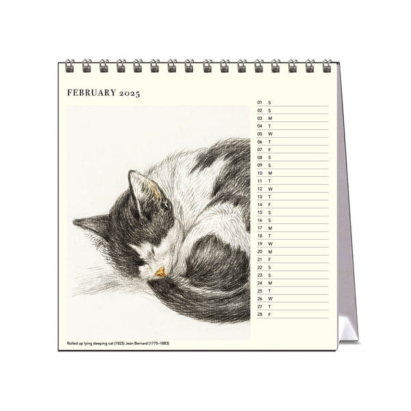 2025 Desk Calendar | Cat Drawings | Hello Sunday