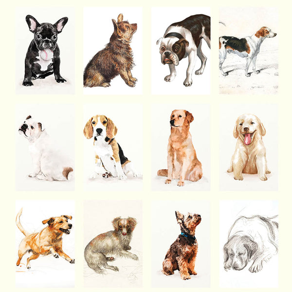 2025 Desk Calendar | Dog Drawings | Hello Sunday