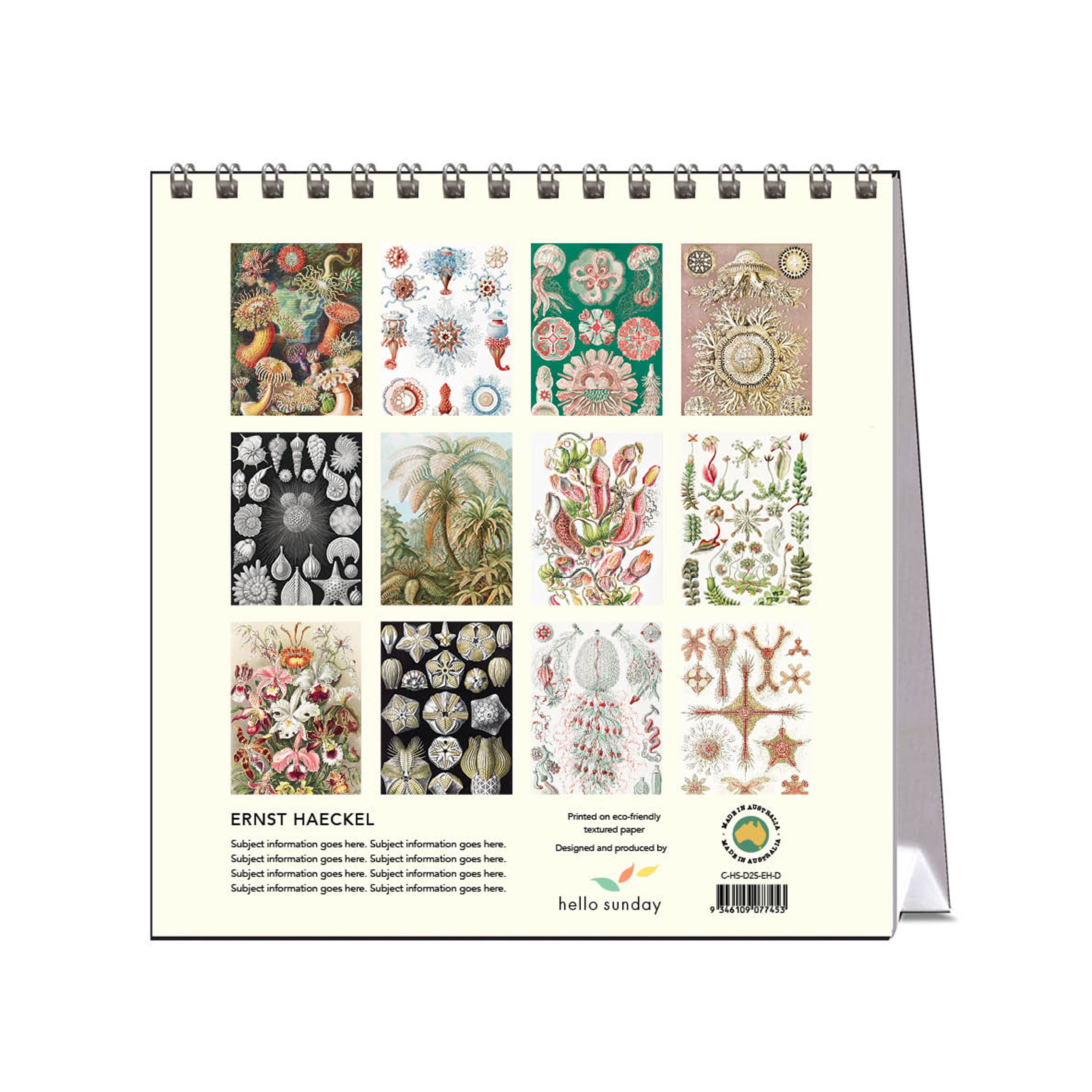 2025 Desk Calendar | Ernst Haeckel | Hello Sunday