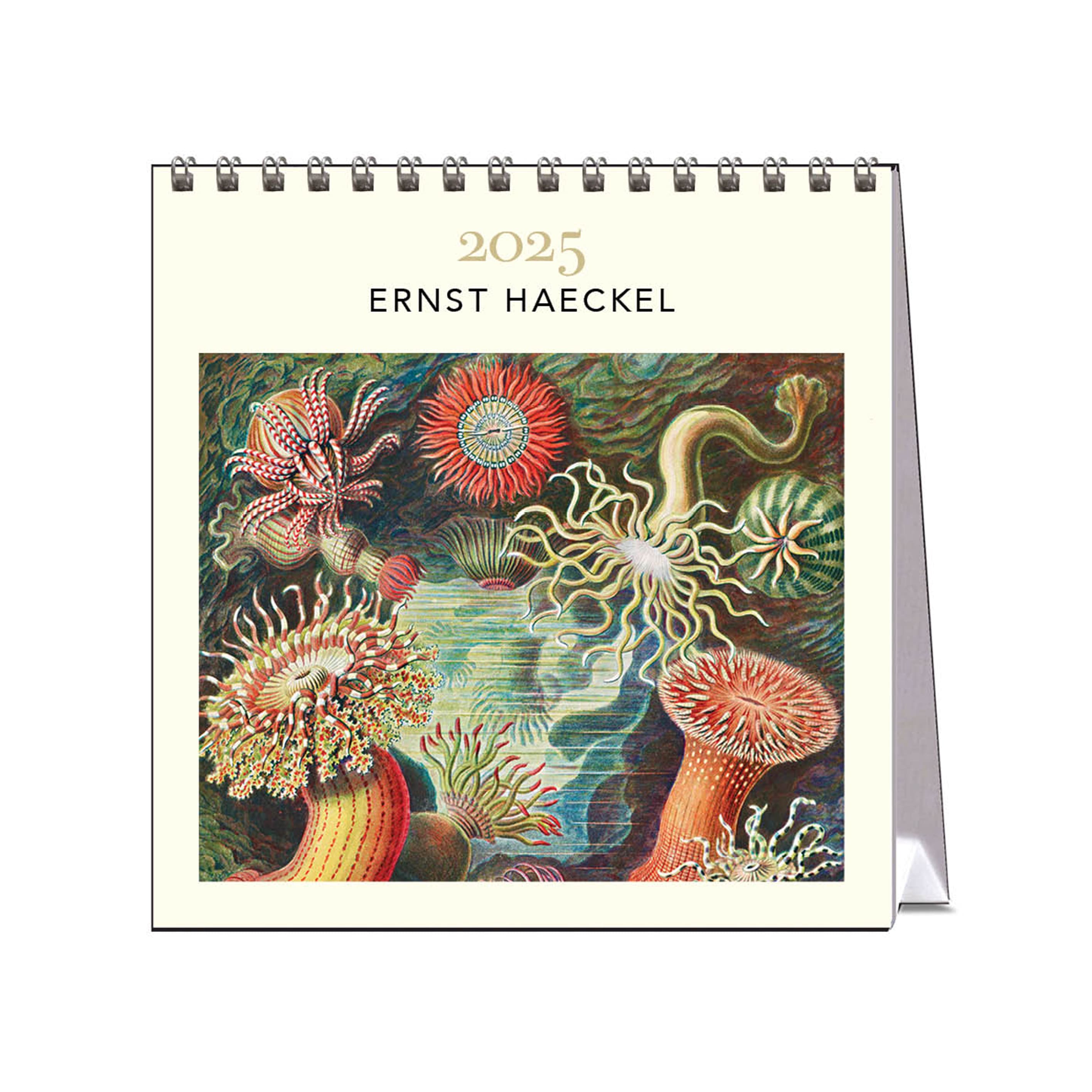 2025 Desk Calendar | Ernst Haeckel | Hello Sunday