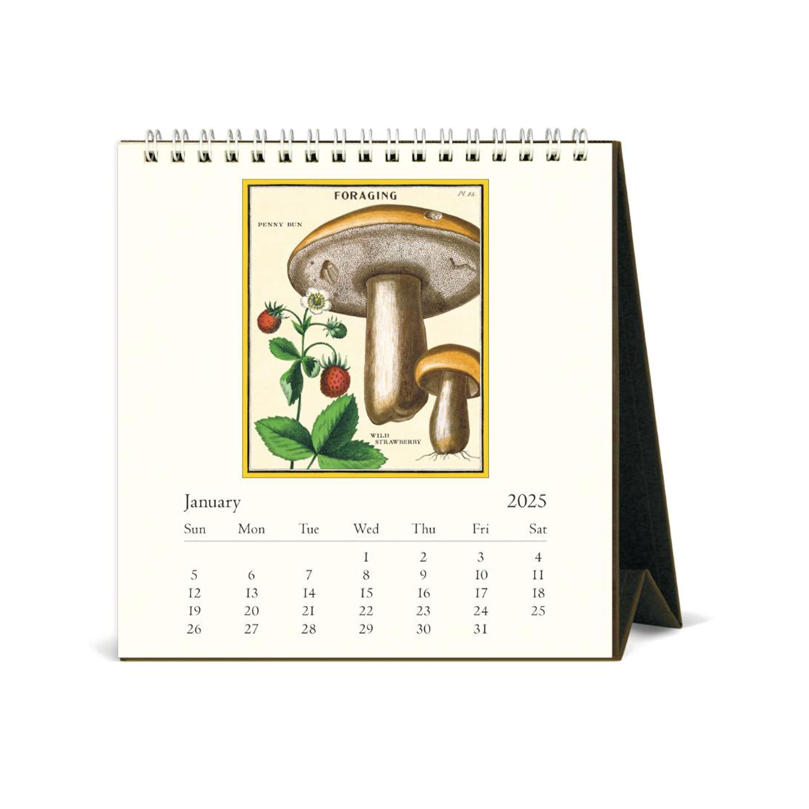 2025 Desk Calendar | Foraging | Cavallini & Co.