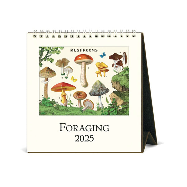 2025 Desk Calendar | Foraging | Cavallini & Co.