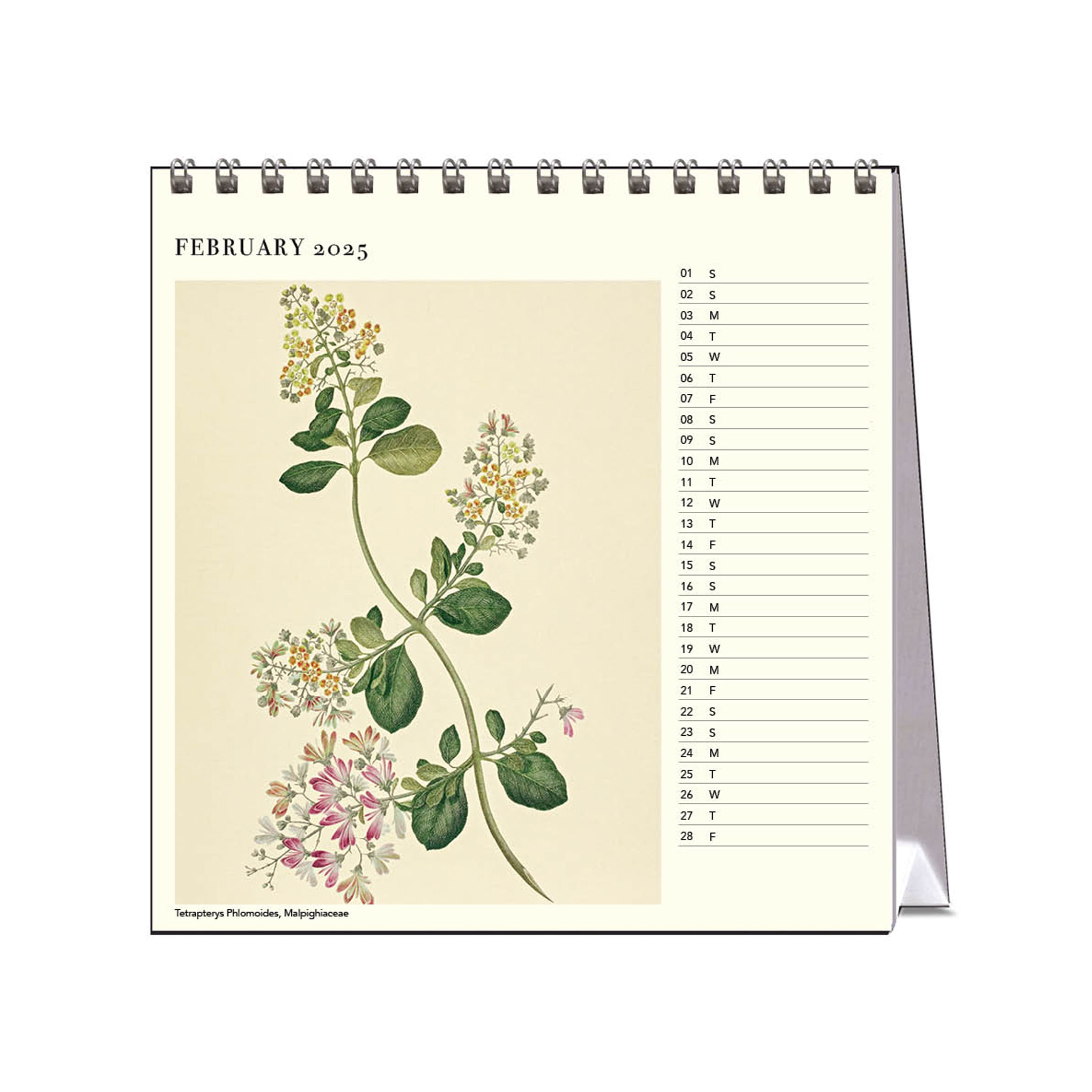 2025 Desk Calendar | Joseph Banks Botanicals | Hello Sunday