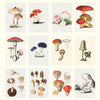 2025 Desk Calendar | Mushrooms | Hello Sunday