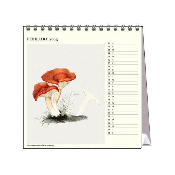 2025 Desk Calendar | Mushrooms | Hello Sunday