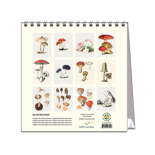 2025 Desk Calendar | Mushrooms | Hello Sunday