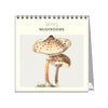 2025 Desk Calendar | Mushrooms | Hello Sunday