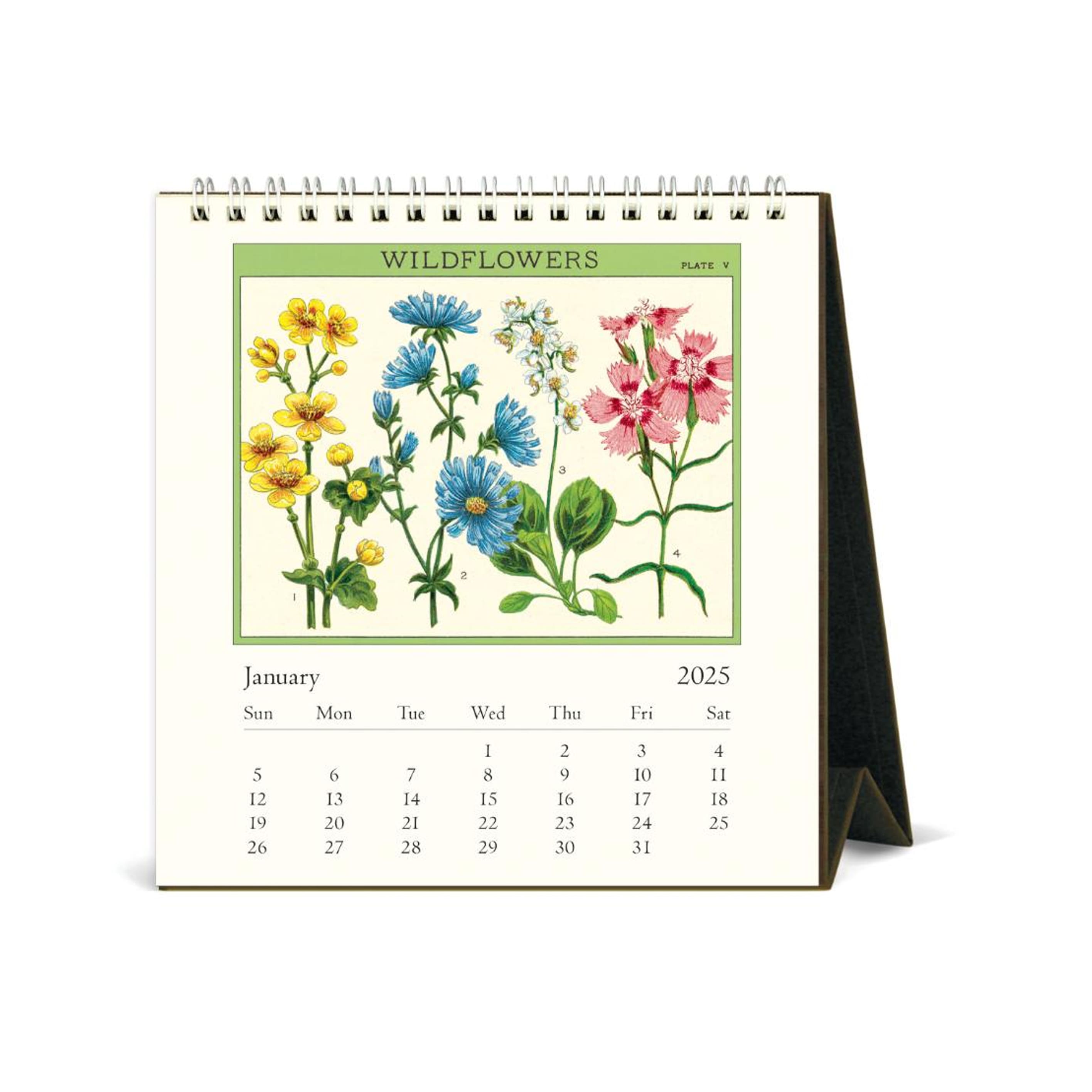 2025 Desk Calendar | Wildflowers | Cavallini & Co.