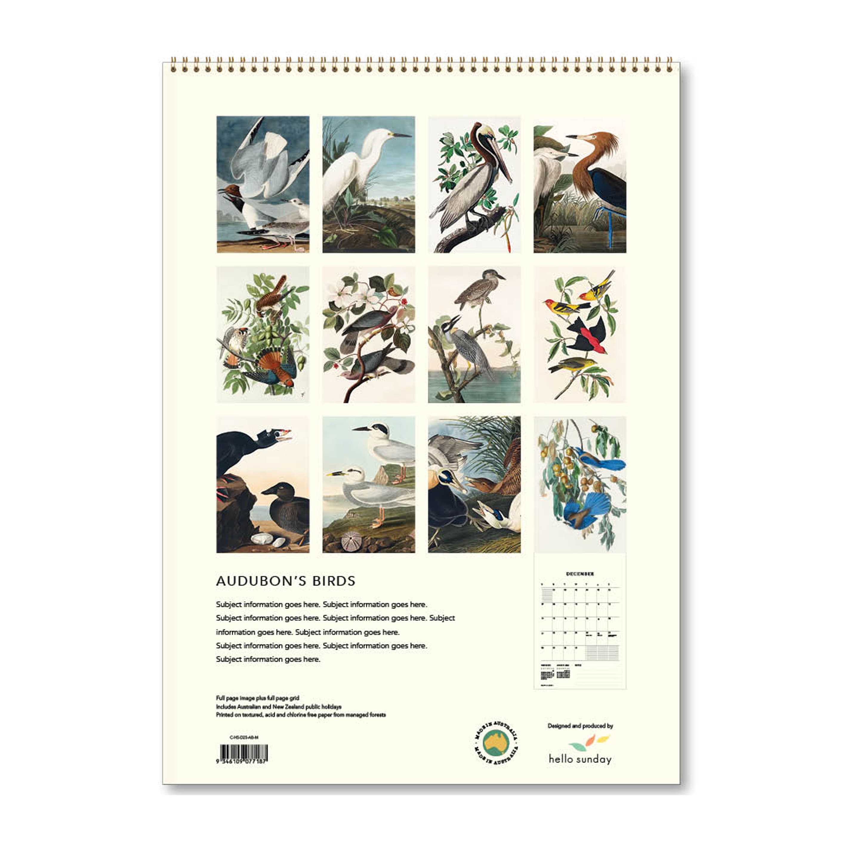 2025 Wall Calendar | Audubon's Birds | Hello Sunday