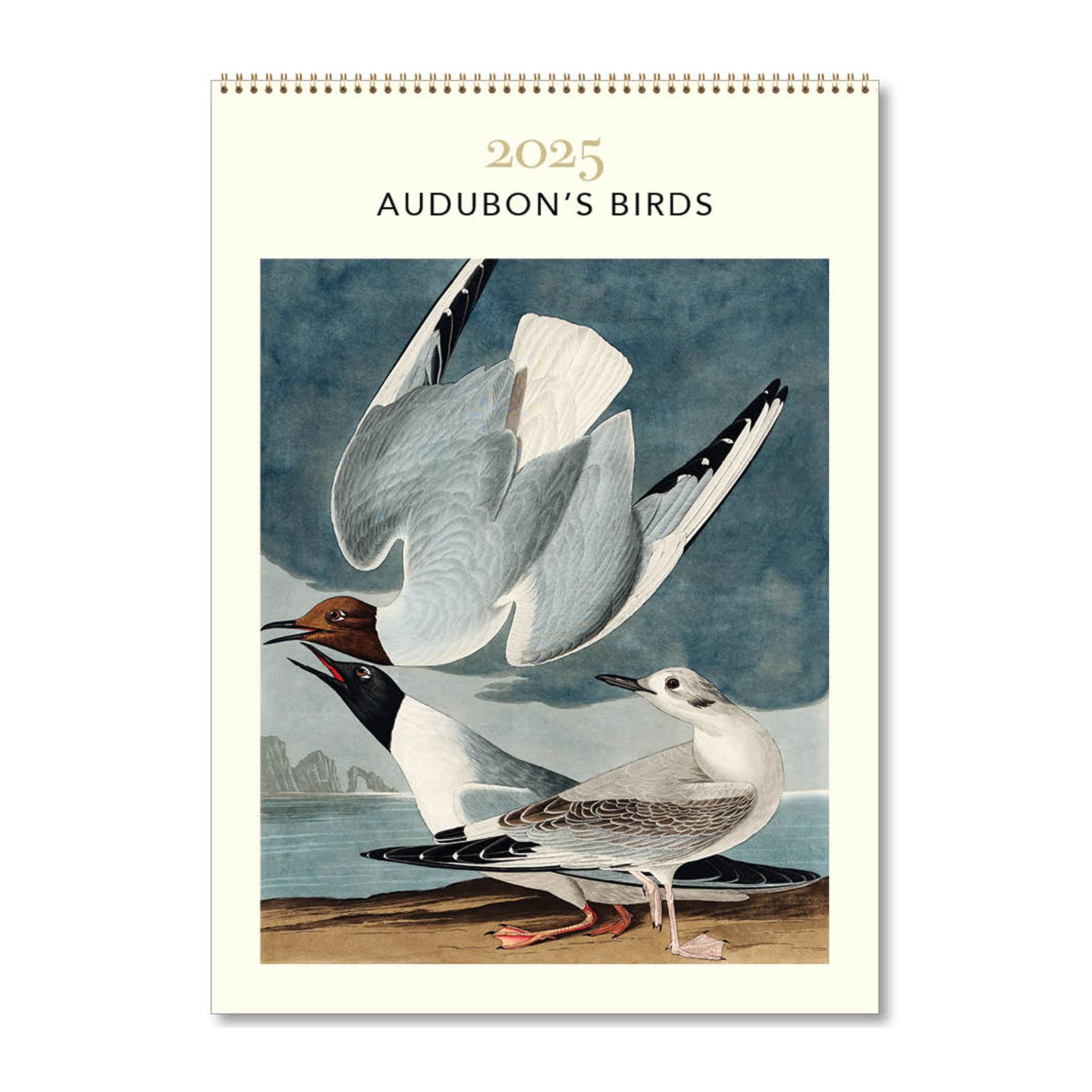 2025 Wall Calendar | Audubon's Birds | Hello Sunday