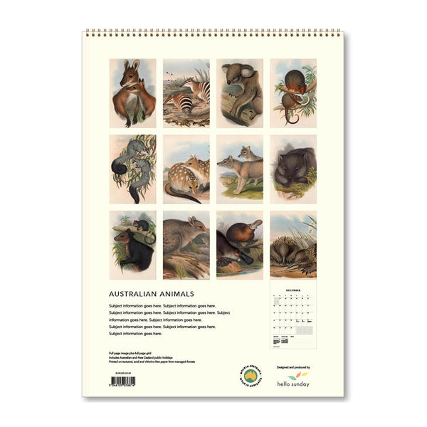 2025 Wall Calendar | Australian Animals | Hello Sunday