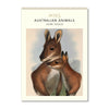 2025 Wall Calendar | Australian Animals | Hello Sunday