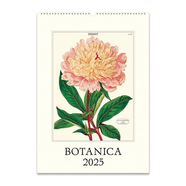 2025 Wall Calendar | Botanica | Cavallini & Co.