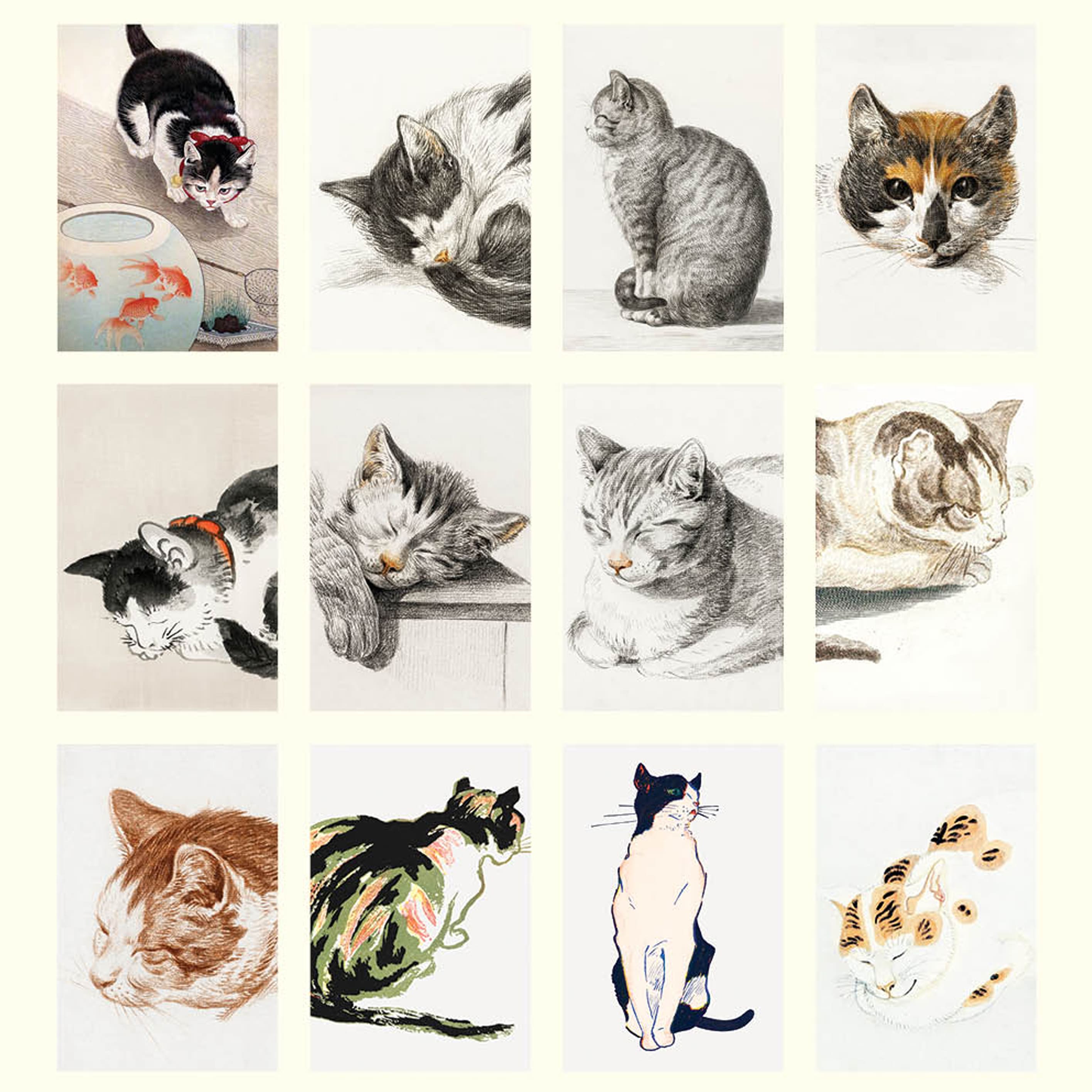 2025 Wall Calendar | Cat Drawings | Hello Sunday