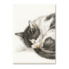 2025 Wall Calendar | Cat Drawings | Hello Sunday