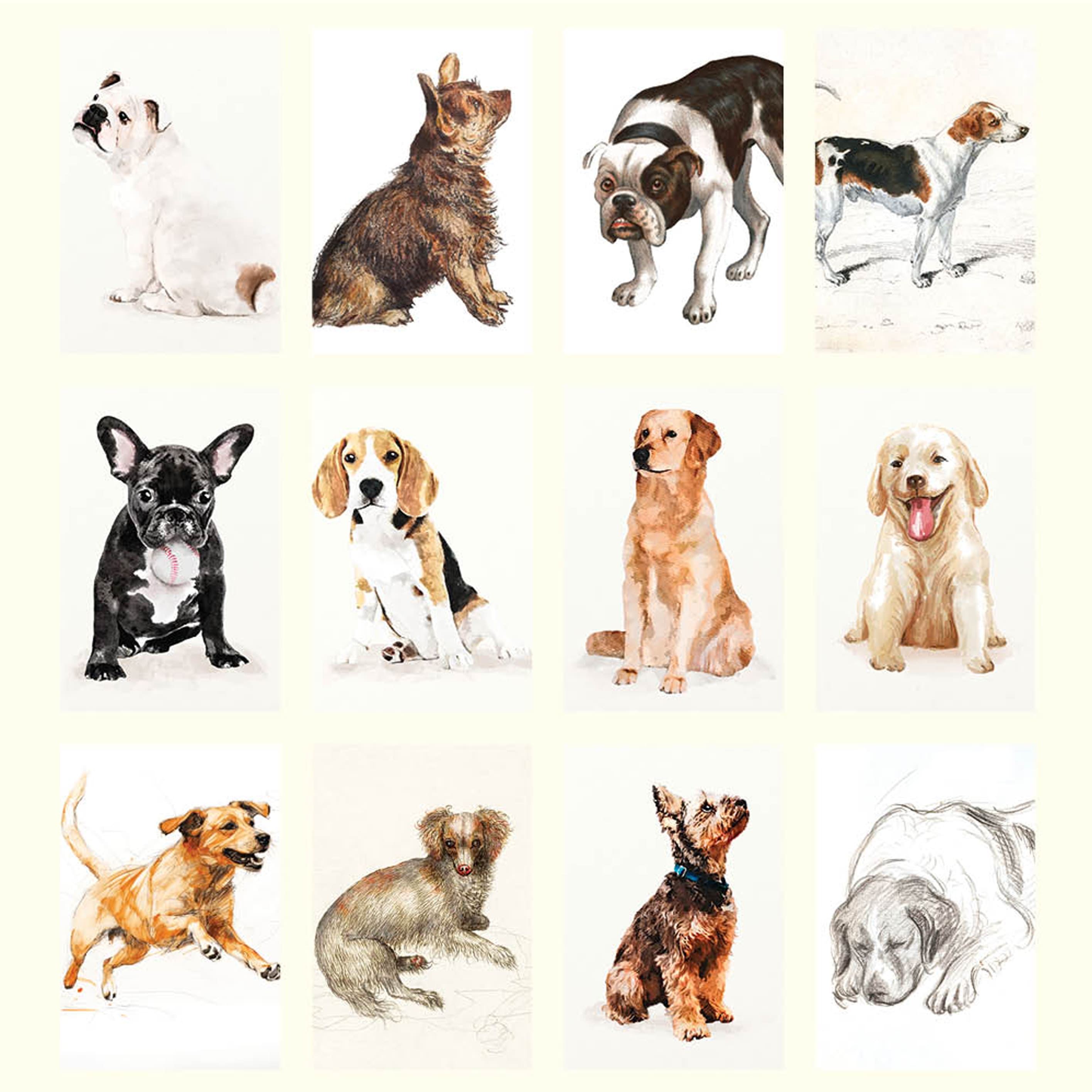 2025 Wall Calendar | Dog Drawings | Hello Sunday