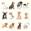 2025 Wall Calendar | Dog Drawings | Hello Sunday