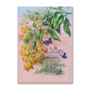 2025 Wall Calendar | Ellis Rowan Flowers | Hello Sunday