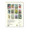 2025 Wall Calendar | Ellis Rowan Flowers | Hello Sunday