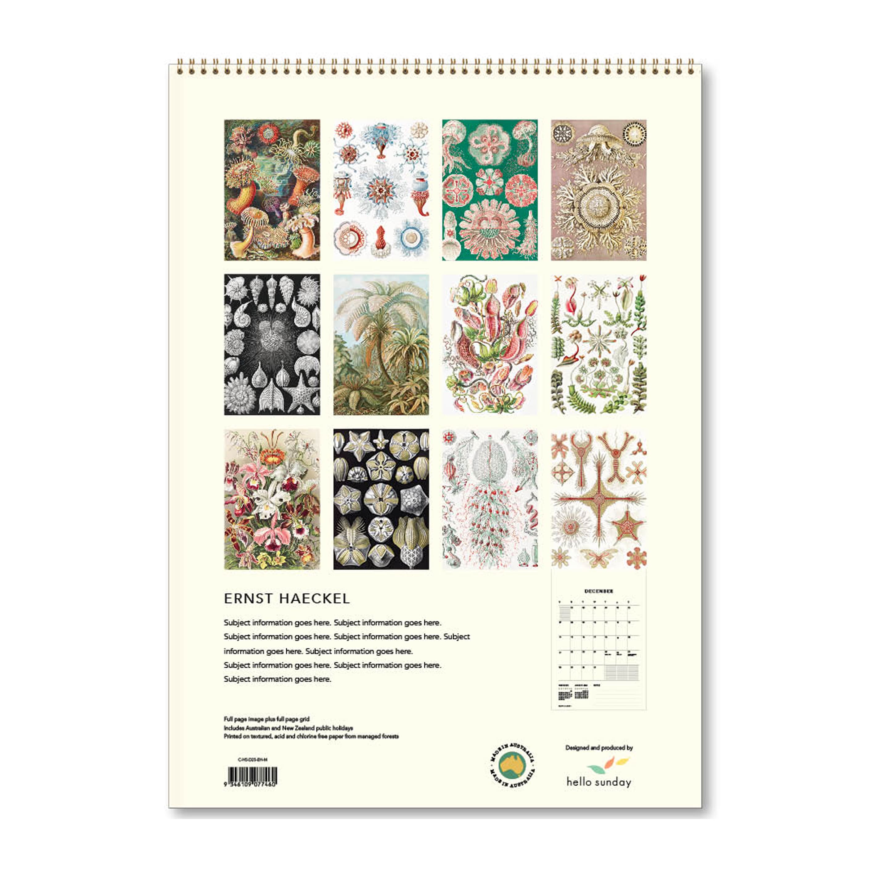 2025 Wall Calendar | Ernst Haeckel | Hello Sunday