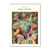 2025 Wall Calendar | Ernst Haeckel | Hello Sunday