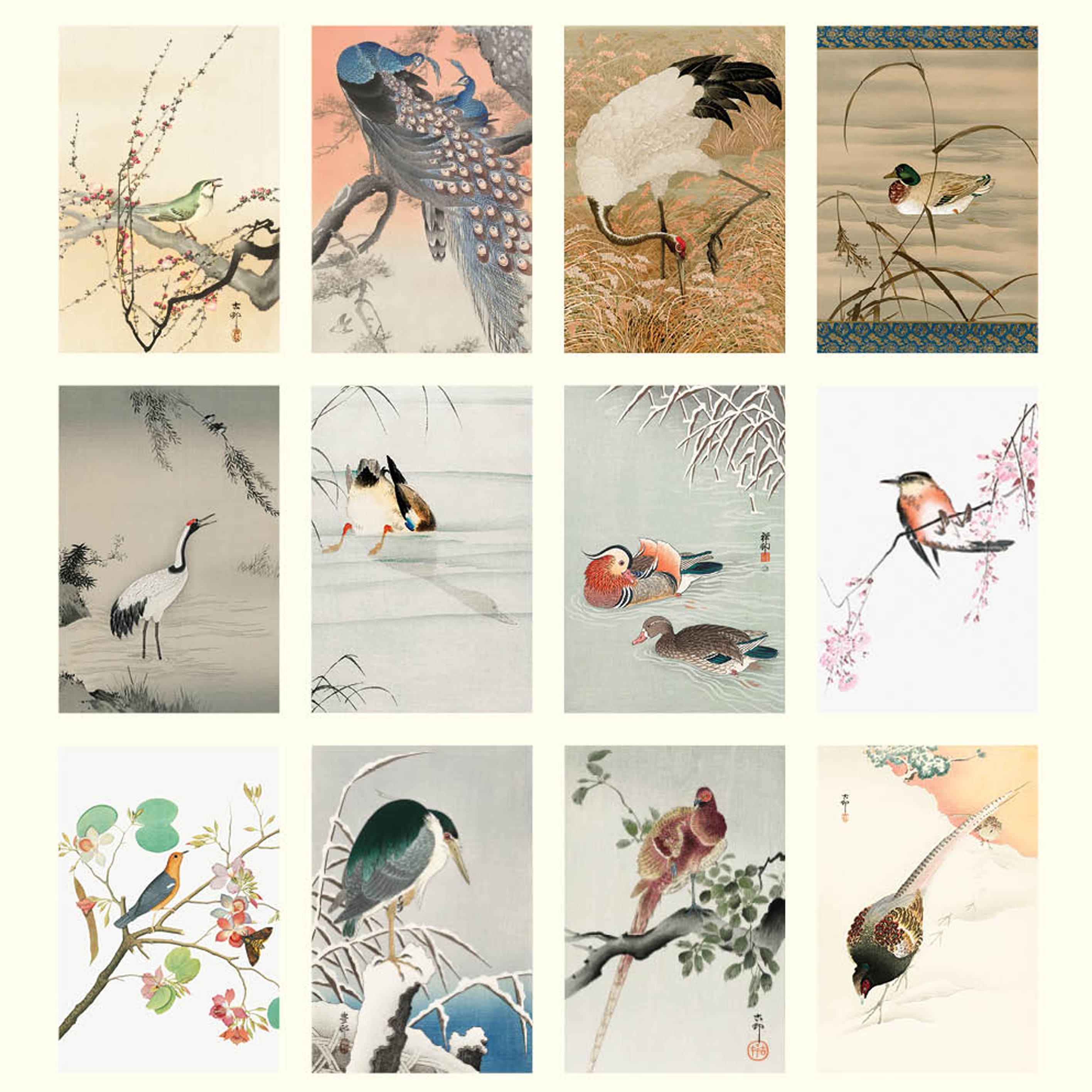 2025 Wall Calendar | Japanese Birds | Hello Sunday