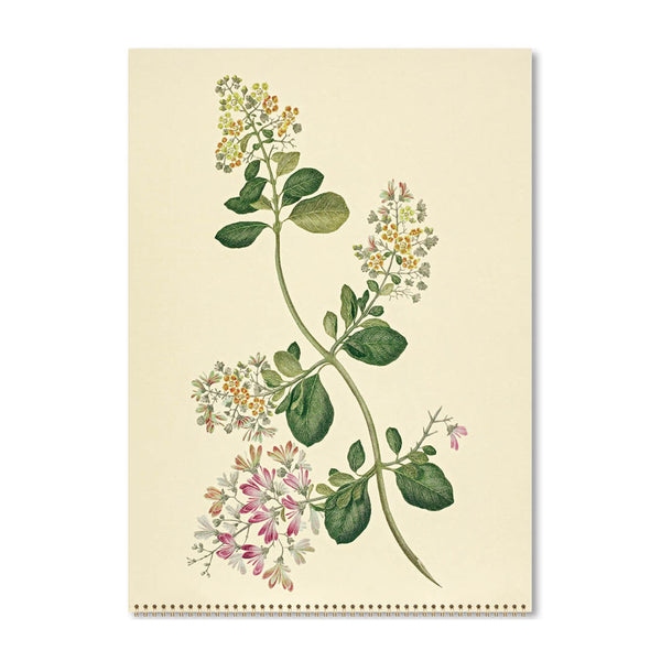 2025 Wall Calendar | Joseph Banks Botanicals | Hello Sunday