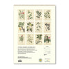 2025 Wall Calendar | Joseph Banks Botanicals | Hello Sunday