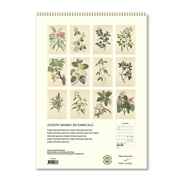 2025 Wall Calendar | Joseph Banks Botanicals | Hello Sunday