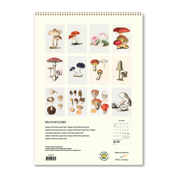 2025 Wall Calendar | Mushrooms | Hello Sunday