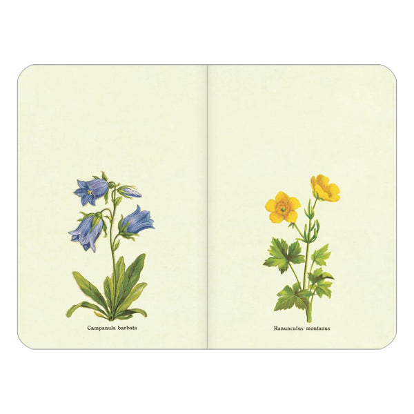 2025 Planner | Weekly | Wildflowers | Cavallini & Co.