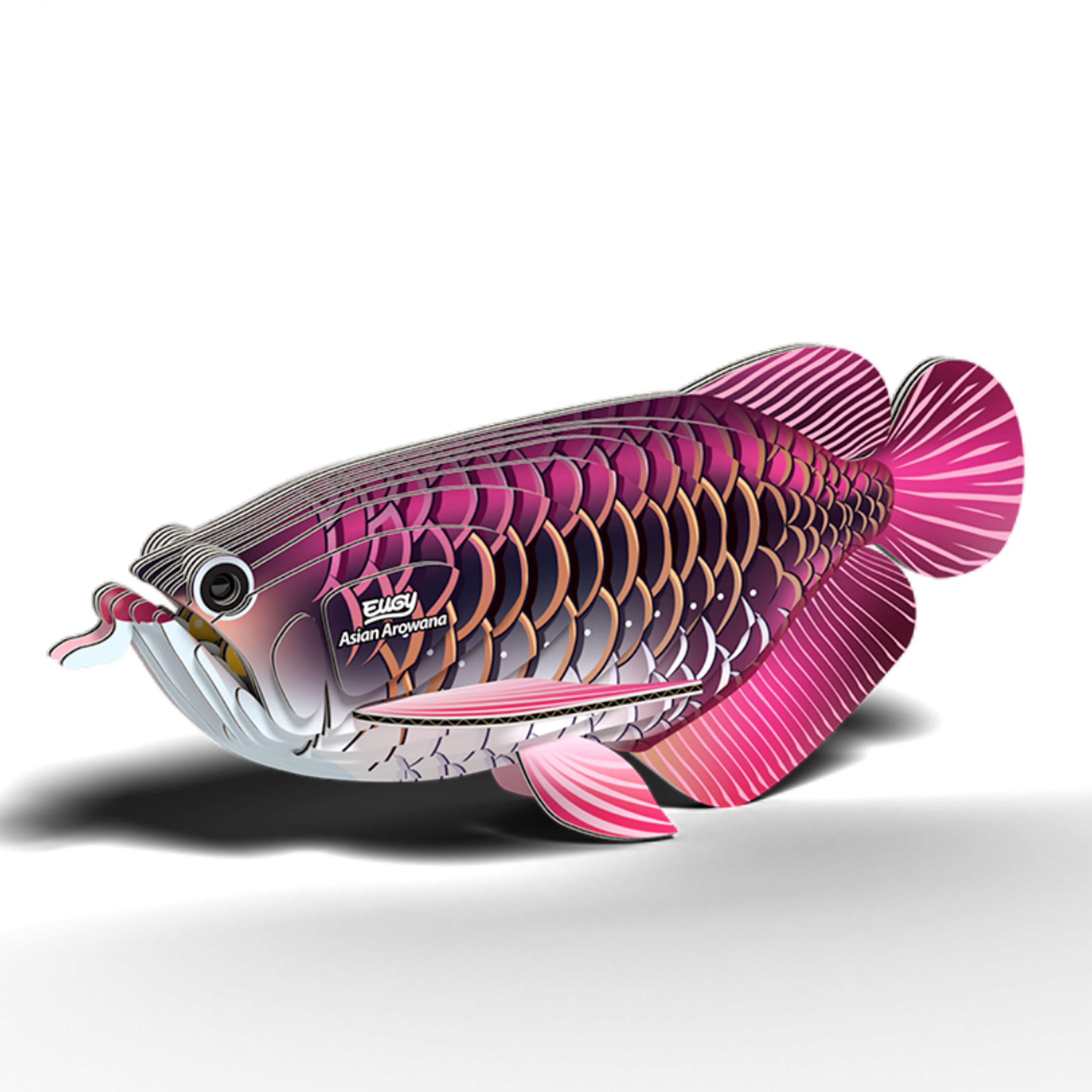 3D Cardboard Model Kit | Asian Arowana | Eugy