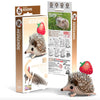 3D Cardboard Model Kit | Hedgehog | Eugy