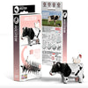 3D Cardboard Model Kit | Holstein Friesian | Eugy