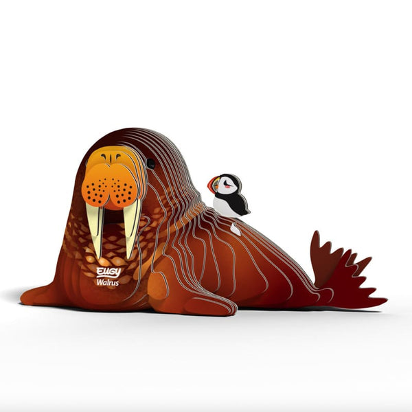 3D Cardboard Model Kit | Walrus | Eugy